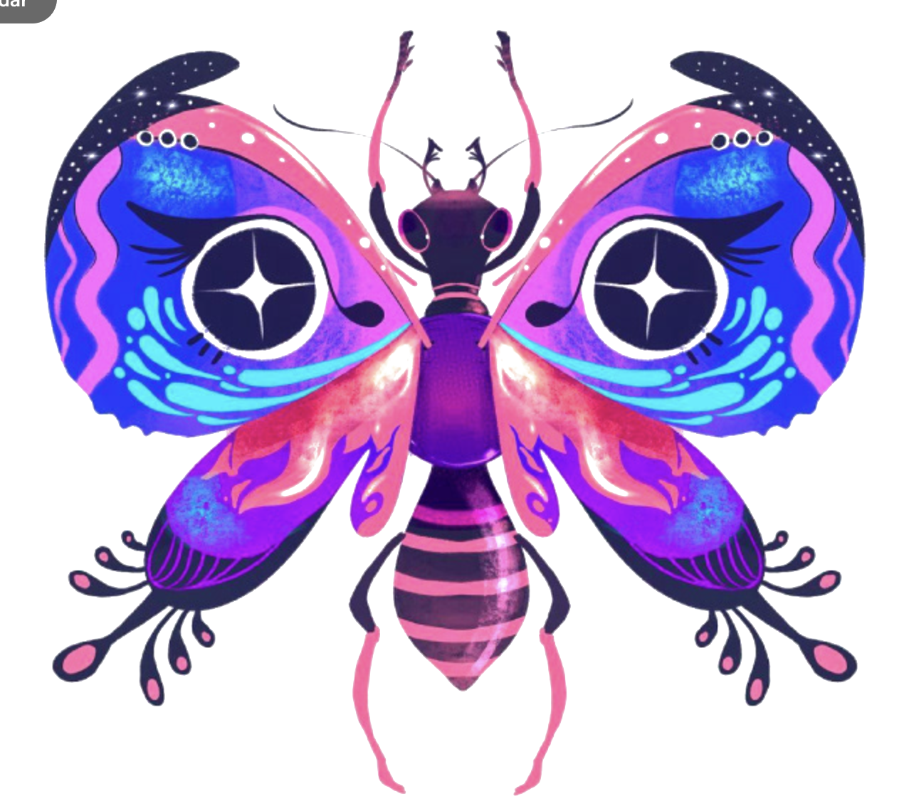 Colorful moth illustration